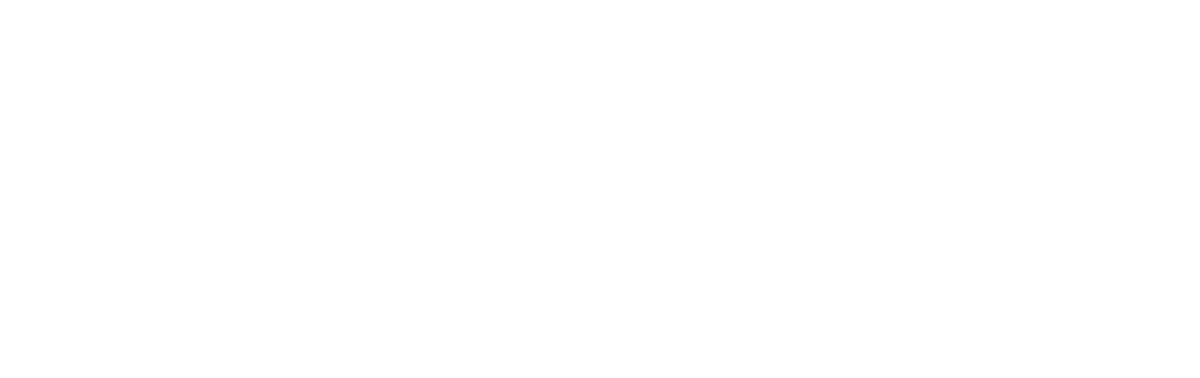 TURNS circular system